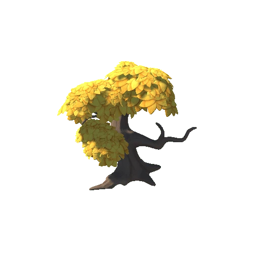 Oak_Tree_d (2)